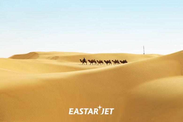 이스타항공 제공