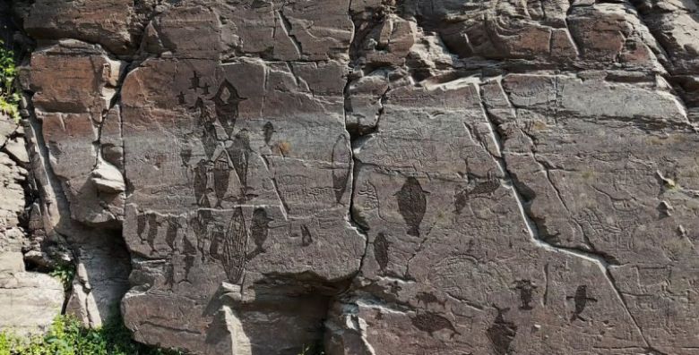 울주 대곡리 반구대 암각화 속 고래들. /사진=연합뉴스
