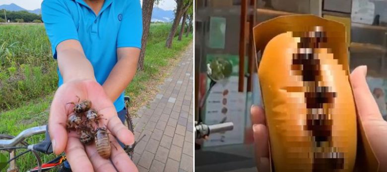 외국인으로 추정되는 남성이 잡은 매미 유충을 보여주고 있는 모습(왼쪽), 중국 산둥성에서 여름 한정판으로 매미 튀김을 넣은 독특한 빵이 등장했다. 출처=부산일보, 中지난일보