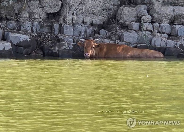 /사진=연합뉴스