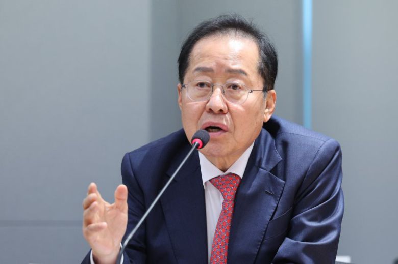 홍준표 전 대구시장 /사진=뉴스1화상