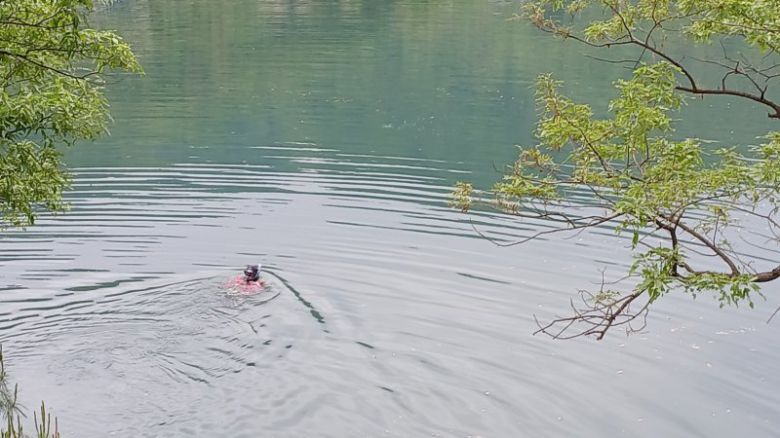 60대 남성이 전남 함평의 한 저수지에서 숨진채 발견됐다. (사진은 기사본문과 관계 없는 자료사진) /뉴스1