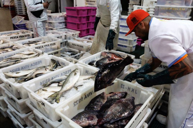 브라질의 수산시장.EPA연합뉴스