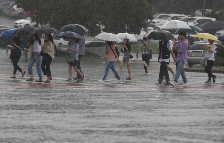 뉴스1                                    뉴스1