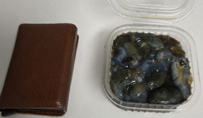 바가지 상술 논란 일으킨 7만원어치 해삼 / 사진=보배드림