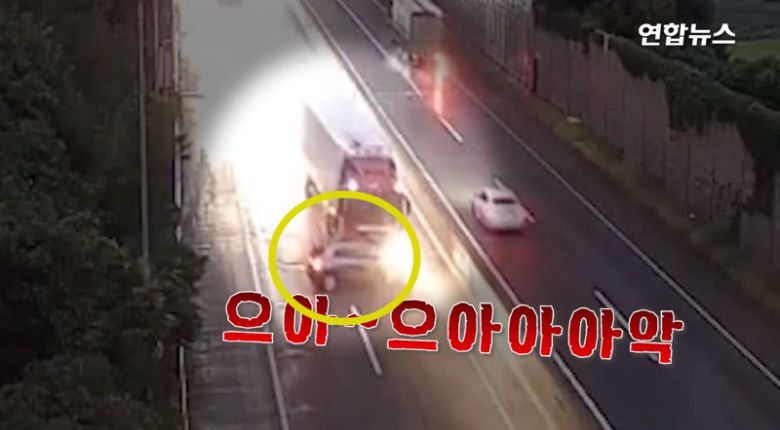 /사진=연합뉴스 유튜브 영상 캡처