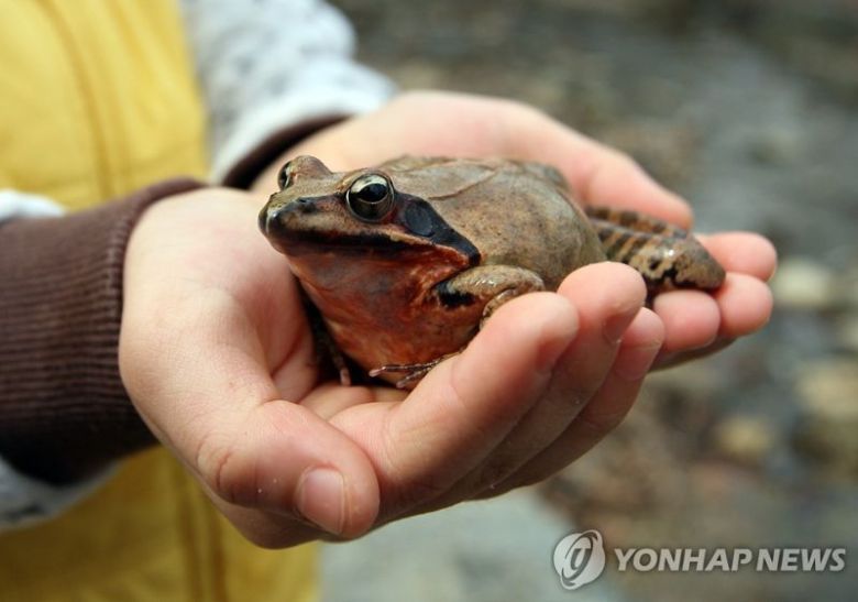 자료사진. 사진은 기사와 무관함.