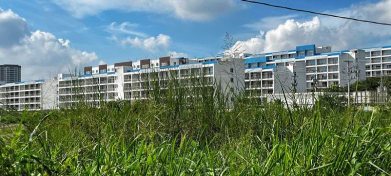 필리핀 수도 마닐라 북쪽에 있는 사기 농장엔 수 백 명의 사람들을 수용할 수 있다. /사진=유엔 홈페이지