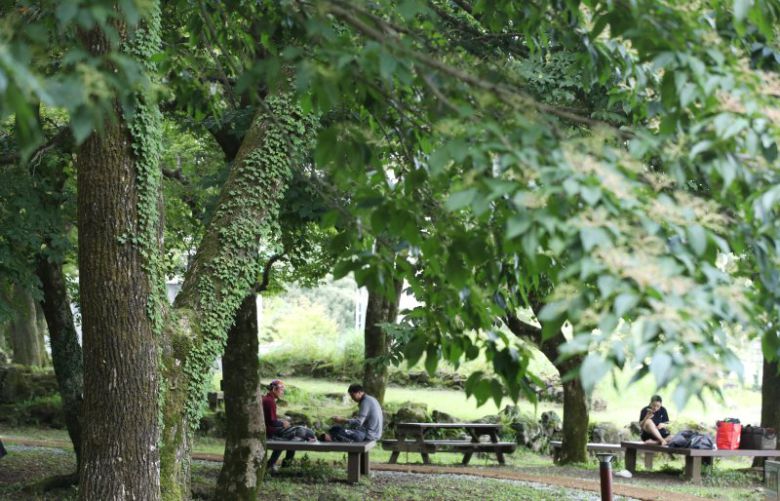 제주 한라산국립공원 관음사 야영장. 사진=뉴스1