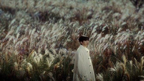 물고기뮤직 제공