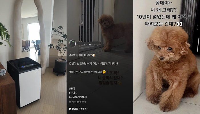 박나래 '주사이모' A씨가 샤이니 키 집에서 찍은 것으로 추정되는 사진과 영상. /사진=뉴시스