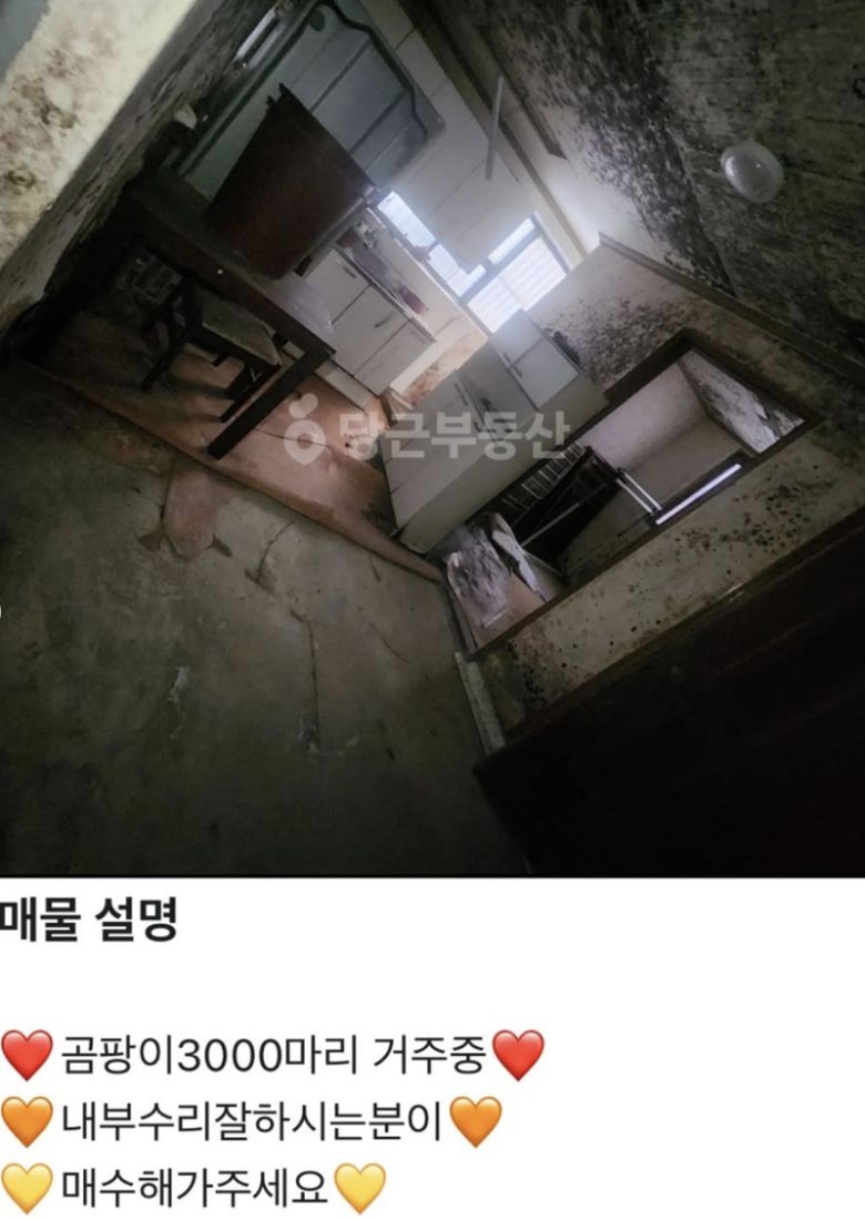 중고 거래 플랫폼 당근마켓의 부동산 코너에 등장해 온라인에서 화제가 되고 있는 매물. /사진='루리웹' 캡처