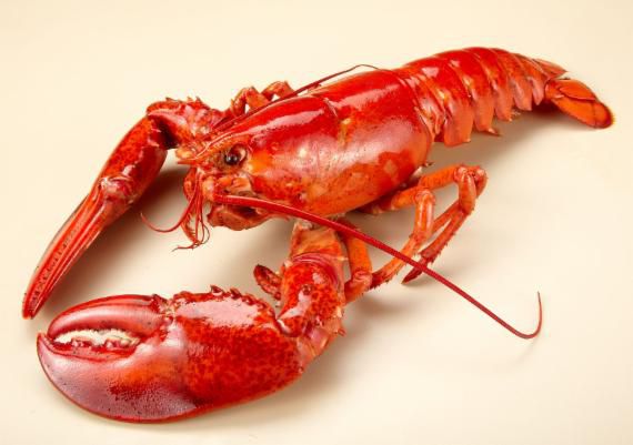 /사진=파이낸셜뉴스 사진DB