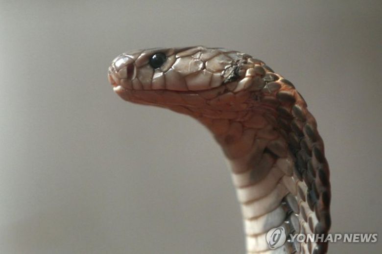 /사진=연합뉴스