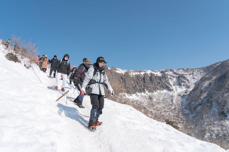 예약 없이 오를 수 있는 한라산 영실                                  환상숲 곶자왈                                  여름과는 또다른 재미를 느낄 수 있는 제주 겨울 서핑