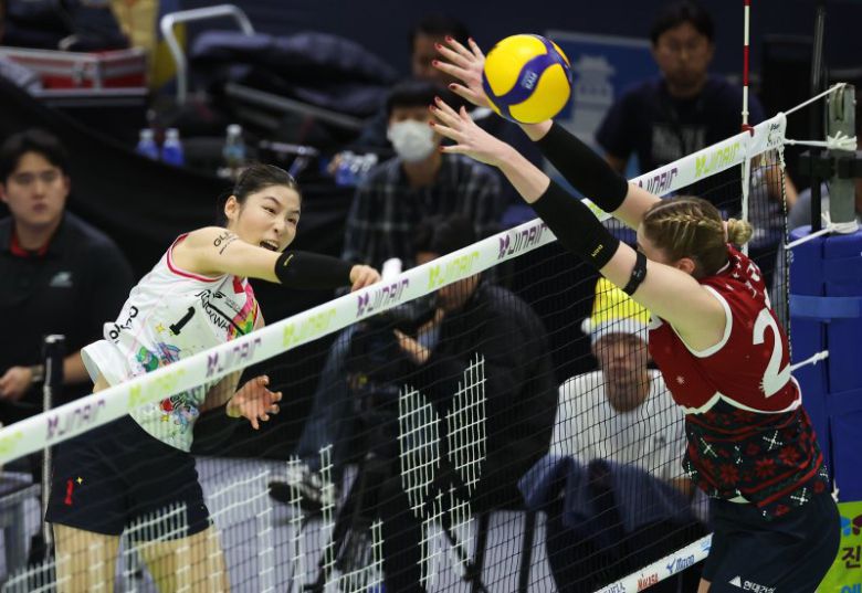 시간이 갈수록 공격 본능을 뽑내는 인쿠시.연합뉴스