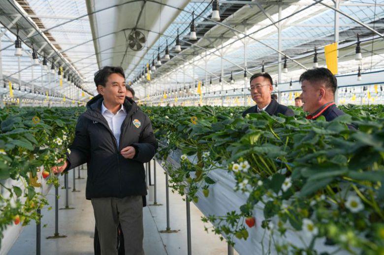 김진태 강원도지사가 7일 양구군에 위치한 시설원예 농가를 방문해 한파와 폭설 대비 상황을 집중 점검했다. 강원자치도 제공