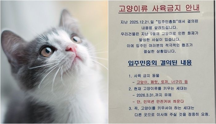 /사진=게티이미지뱅크, SNS