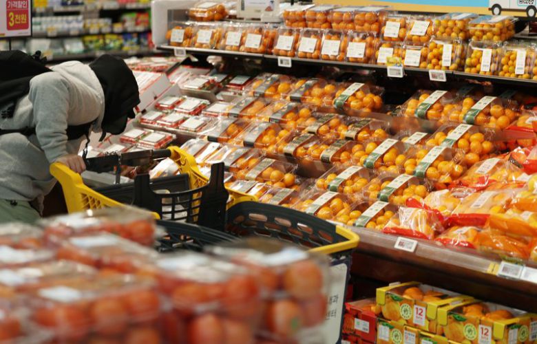 고환율과 이상기후, 원재료 가격 상승으로 새해 '식탁 물가'에 비상이 걸렸다. 가공식품·외식·농수산물 등이 먹거리 물가 상승을 주도하고 있다. 사진은 8일 서울시내의 한 대형마트 과일코너에서 고객이 장을 보는 모습. 뉴스1