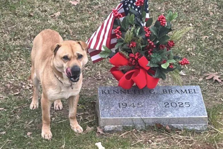 미국 켄터키주 메이스빌 소재 메이슨 카운티 동물보호소가 지난 7일 페이스북에 공개한 사진. /사진=메이슨 카운티 동물보호소 페이스북