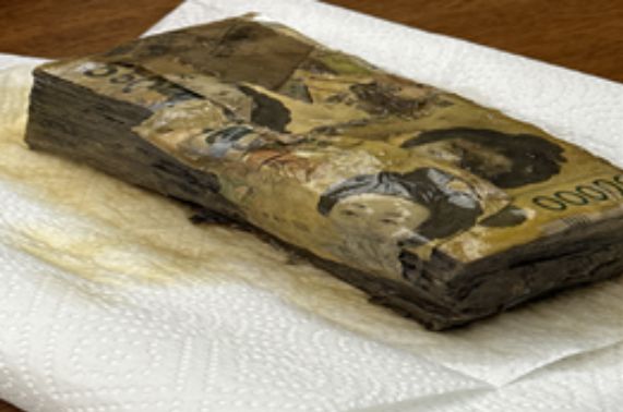 충북에 사는 김모씨가 신문지로 감싸 창고에 보관해둔 지폐 1892만원 /사진=한국은행 제공