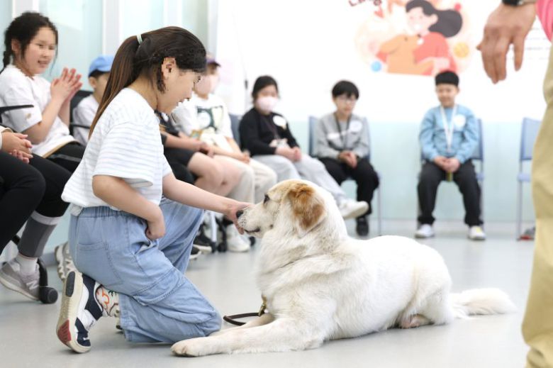 서울 서대문구 '내품애센터'에서 구민과 치유견이 매개치유프로그램을 진행하고 있다. 서대문구 제공