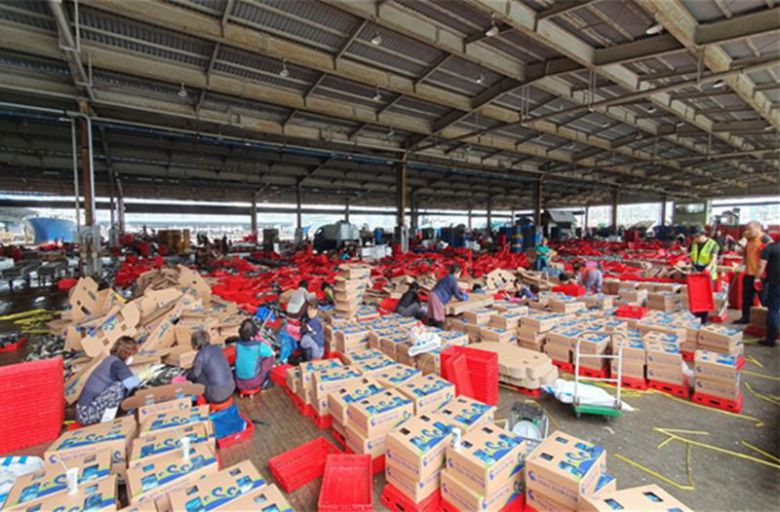 부산공동어시장 위판장에서 부산시 수산자원연구소 직원들이 수산물 안전성조사를 위한 시료를 수거하고 있는 모습. 부산시 제공