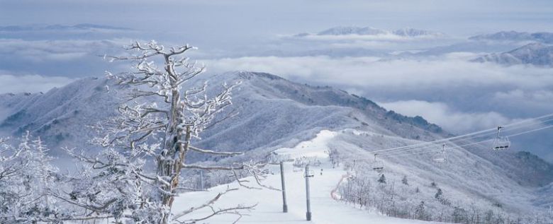무주덕유산리조트 설천봉 슬로프 전경. 부영그룹 제공