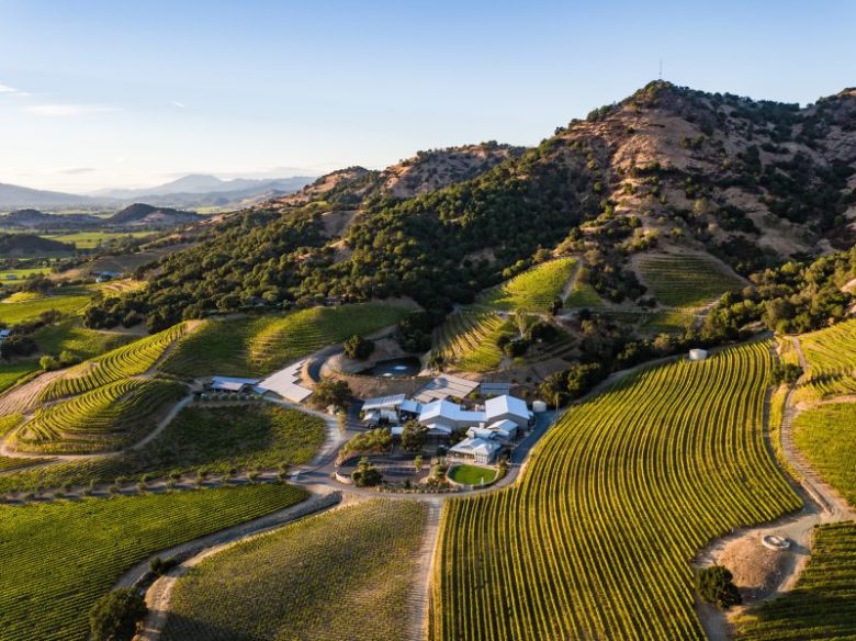 쉐이퍼 빈야드 전경신세계L&B 제공                                      쉐이퍼 TD-9 2019.블랙체리와 자두의 과실 향에 바닐라향의 미묘한 터치가 더해지며, 탄탄하면서도 부드러운 구조가 특징. 갈비찜이나 소고기 구이와 조화를 이룬다.                                      니콜라스 푀이아트 그랑 리저브 브뤼. 신선한 사과와 배의 과실 향, 브리오슈의 고소함이 균형 있게 펼쳐진다. 가벼운 전채 요리부터 해산물까지 폭넓은 페어링이 가능하다.                                      투핸즈 엔젤스 쉐어 쉬라즈.잘 익은 블랙베리와 자두, 초콜릿과 후추의 향이 어우러지며, 풍부한 과실미와 부드럽게 다듬어진 탄닌이 인상적이다. 바비큐나 양념이 강한 고기 요리와 잘 어울린다.                                      샤또 몬텔레나 샤도네이.신선한 시트러스와 사과 향을 중심으로, 은은한 오크 터치가 조화를 이루며 섬세하면서도 깊이 있는 맛을 보여준다. 해산물 요리나 담백한 한식과 잘 어울린다.