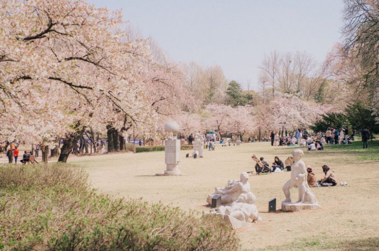 어린이 대공원 모습(서울시청 제공) /사진=뉴스1