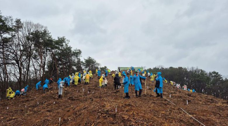 지난해 4월 5일 충남 공주 충청남도 공주시 의당면 중흥리 일원에서 열린 식목일 행사에서 참가자들이 나무를 심고 있다. 산림청 제공