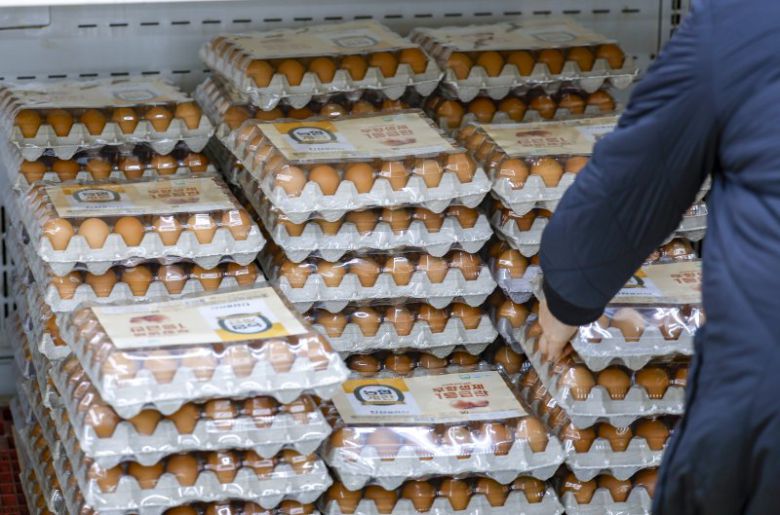 서울 서초구 하나로마트 양재점을 찾은 시민들이 계란을 살펴보고 있다. 뉴시스