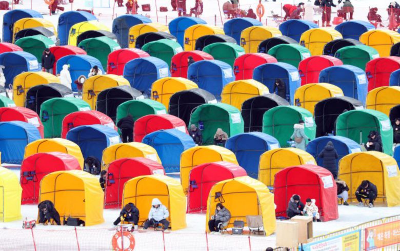 평창송어축제에 마련된 2인용 낚시텐트                                  '맨손송어잡기'에 참여한 외국인 관광객들