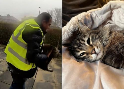 사진=데일리메일