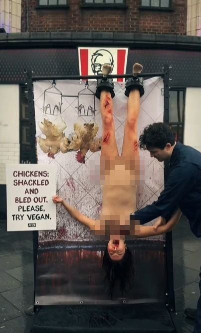한 동물보호단체가 영국 런던 도심에서 식용 닭이 도살되는 방식을 모방하는 시위를 펼쳤다. 사진=뉴시스, 인스타그램