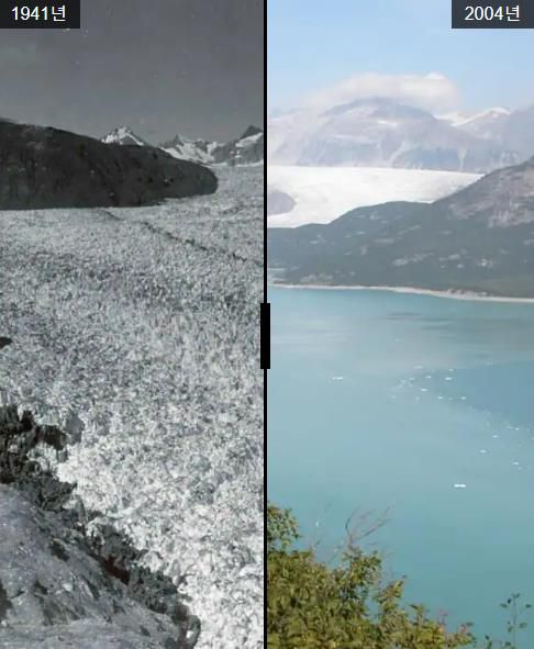 알래스카의 뮤어 빙하는 19세기 이후 상당히 얇아졌다.  63년의 간격을 두고 8월에 찍은 사진 (사진출처= NASA)