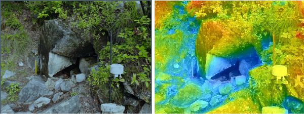 정선 장열리 풍혈지 여름철 열화상 촬영 사진. 파란부분일수록 온도가 낮은 지점이다. (사진=산림청)