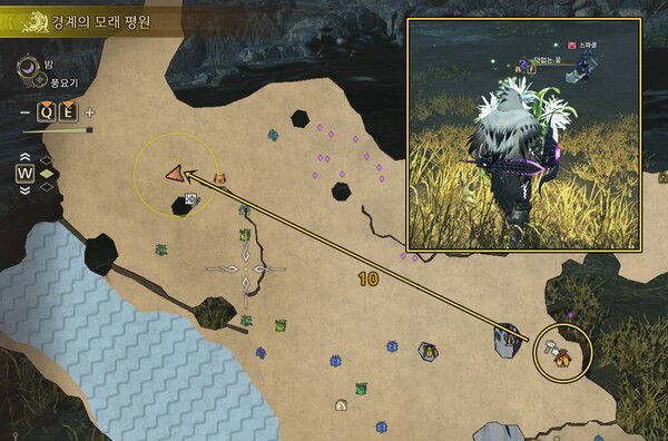 - 구역 10 덧없는 꽃 위치