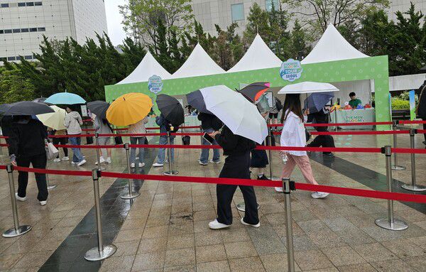 - 비가 왔지만 피크민 블룸 투어를 향한 열정은 꺾이지 않았다