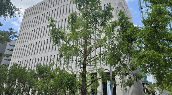 - 행사를 진행하기에 최고의 날씨