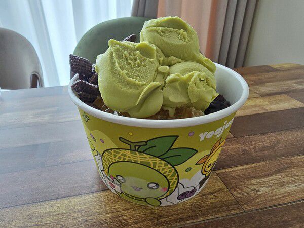 - 트윈볼에 다 얹으면 이런 느낌이다(스쿱볼 추가 안 한 상태)