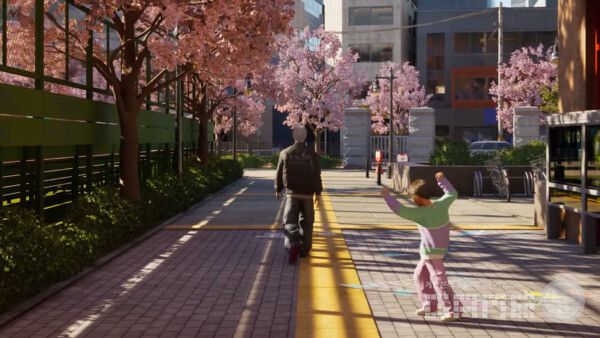 벚꽃이 만발한 거리를 걷는다. 역시 '도원'이 무릉도원에서 비롯된 명칭이 아닌가 싶다.