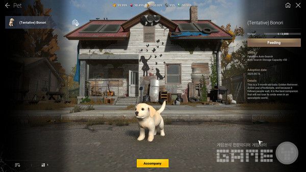 귀여운 펫이 등장한다 / NHN