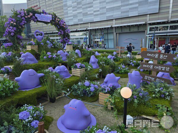 포켓몬 타운 2025 with LOTTE 현장 / 게임와이 촬영