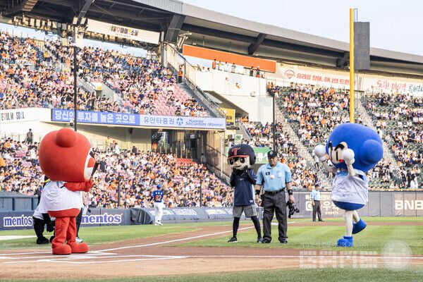 ‘다오’ 시구 & ‘배찌’ 시타