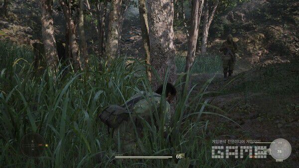 수풀 사이에 몸을 감추고