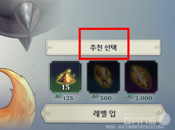 초반에는 레벨업도, 성물 강화도 추천 선택으로