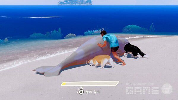 위기에 빠진 동물을 구해주고