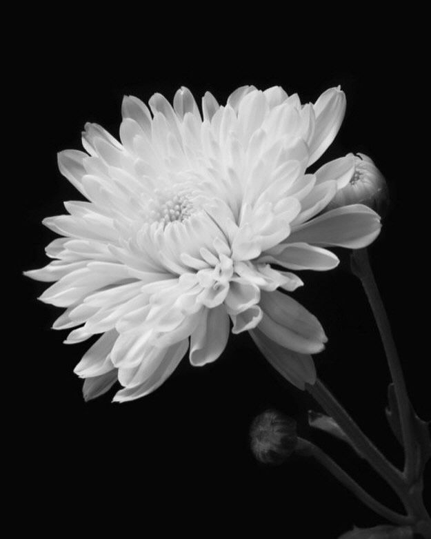 사진=김옥빈 개인 계정