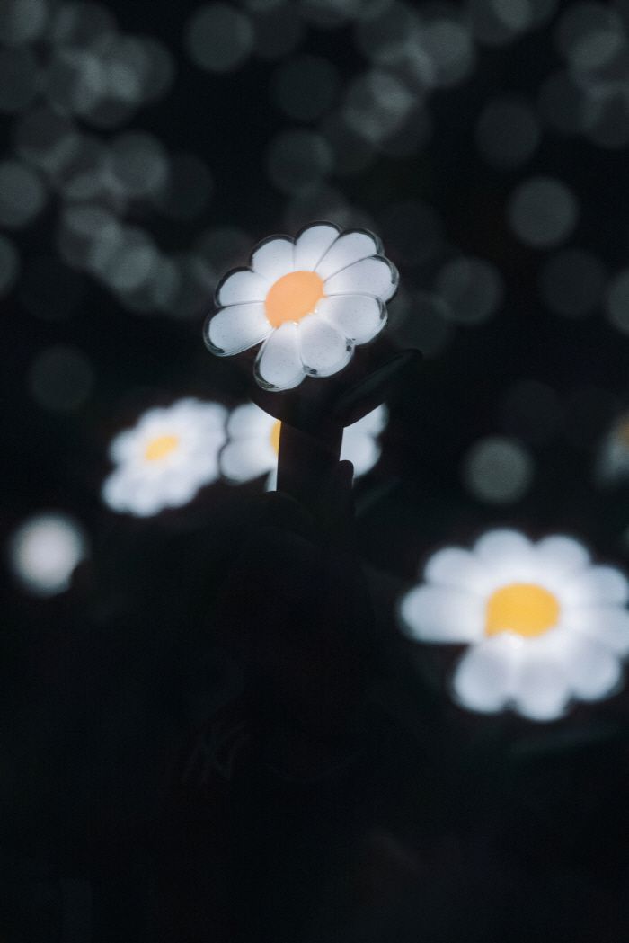 지드래곤이 29일과 30일 경기도 고양종합운동장에서 단독 콘서트 '2025 월드투어 [위버맨쉬] 인 코리아'를 열고, 양일간 6만여 명의 관객들을 만났다. 사진 제공=갤럭시코퍼레이션